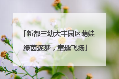 新都三幼大丰园区萌娃绿茵逐梦，童趣飞扬