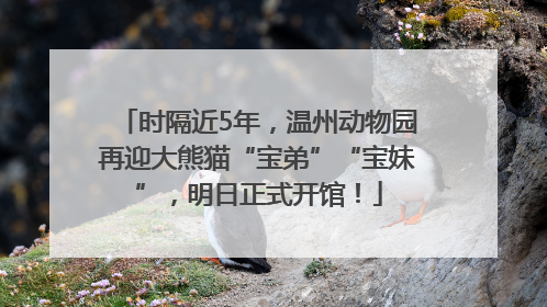 时隔近5年，温州动物园再迎大熊猫“宝弟”“宝妹”，明日正式开馆！