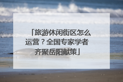 旅游休闲街区怎么运营？全国专家学者齐聚岳阳献策
