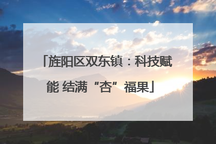 旌阳区双东镇：科技赋能 结满“杏”福果