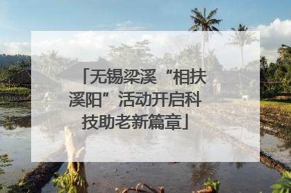 无锡梁溪“相扶溪阳”活动开启科技助老新篇章