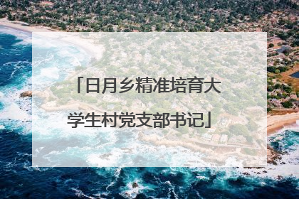 日月乡精准培育大学生村党支部书记