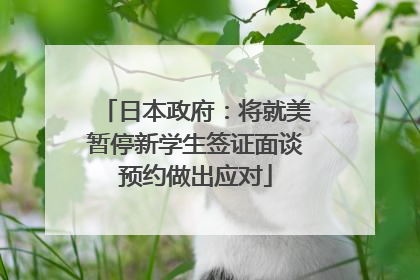 日本政府：将就美暂停新学生签证面谈预约做出应对