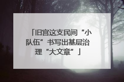 旧宫这支民间“小队伍”书写出基层治理“大文章”