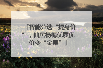 智能分选“提身价”，仙居杨梅优质优价变“金果”