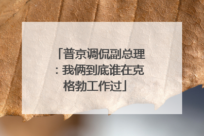 普京调侃副总理：我俩到底谁在克格勃工作过