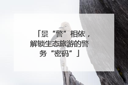 景“警”相依，解锁生态旅游的警务“密码”