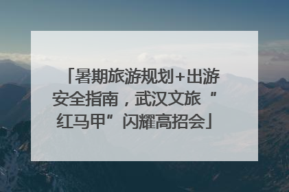 暑期旅游规划+出游安全指南，武汉文旅“红马甲”闪耀高招会