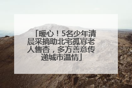 暖心！5名少年清晨采摘助北宅孤寡老人售杏，多方善意传递城市温情