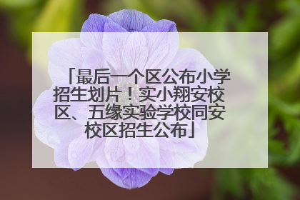 最后一个区公布小学招生划片！实小翔安校区、五缘实验学校同安校区招生公布