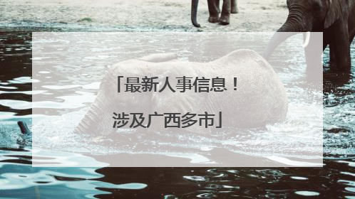 最新人事信息！涉及广西多市