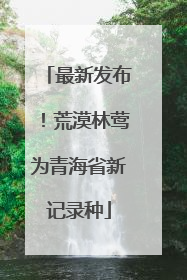 最新发布！荒漠林莺为青海省新记录种