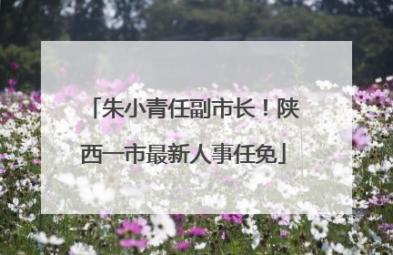 朱小青任副市长！陕西一市最新人事任免
