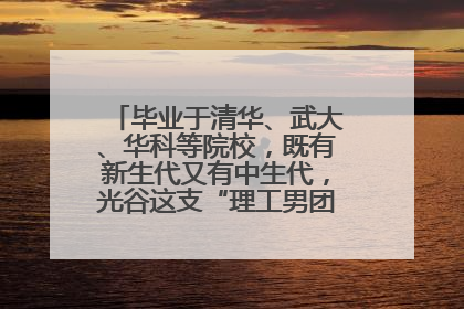 毕业于清华、武大、华科等院校，既有新生代又有中生代，光谷这支“理工男团”为何“出道”？