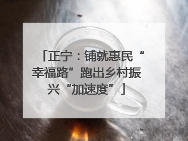 正宁：铺就惠民“幸福路”跑出乡村振兴“加速度”