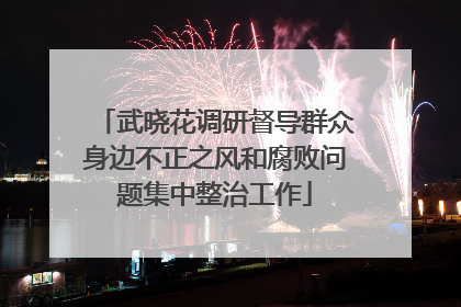 武晓花调研督导群众身边不正之风和腐败问题集中整治工作