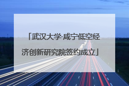 武汉大学·咸宁低空经济创新研究院签约成立