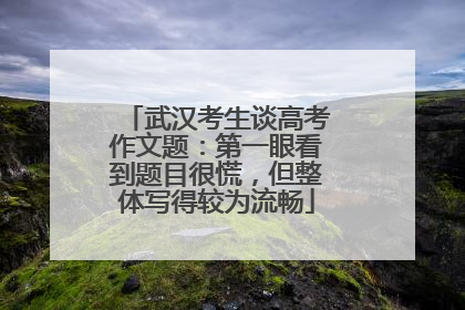 武汉考生谈高考作文题：第一眼看到题目很慌，但整体写得较为流畅