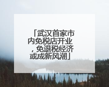 武汉首家市内免税店开业，免退税经济或成新风潮