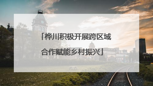 桦川积极开展跨区域合作赋能乡村振兴