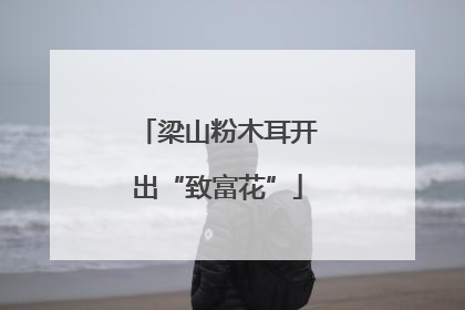 梁山粉木耳开出“致富花”