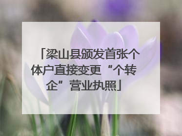 梁山县颁发首张个体户直接变更“个转企”营业执照