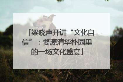 梁晓声开讲“文化自信”：婺源清华朴园里的一场文化盛宴