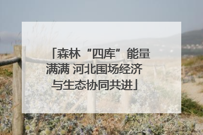 森林“四库”能量满满 河北围场经济与生态协同共进