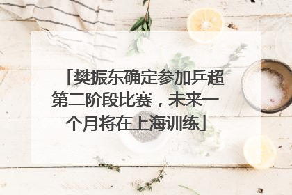 樊振东确定参加乒超第二阶段比赛，未来一个月将在上海训练