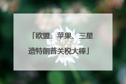 欧盟、苹果、三星遭特朗普关税大棒