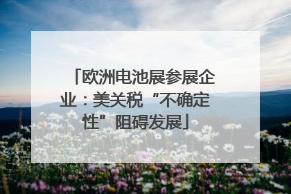 欧洲电池展参展企业：美关税“不确定性”阻碍发展