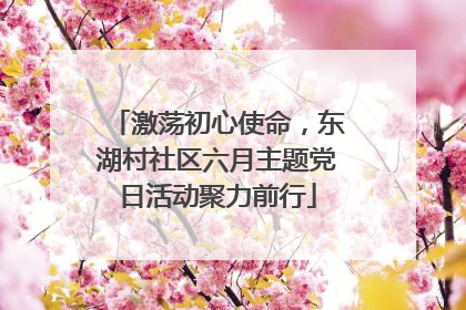 激荡初心使命，东湖村社区六月主题党日活动聚力前行