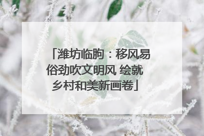 潍坊临朐：移风易俗劲吹文明风 绘就乡村和美新画卷