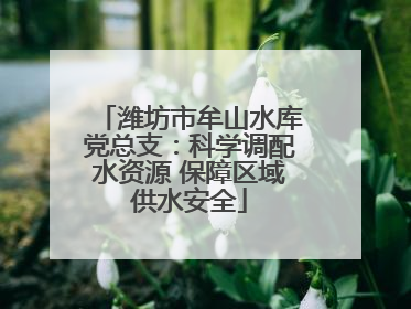 潍坊市牟山水库党总支：科学调配水资源 保障区域供水安全