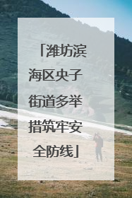 潍坊滨海区央子街道多举措筑牢安全防线