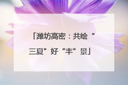 潍坊高密：共绘“三夏”好“丰”景