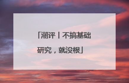 潮评丨不搞基础研究，就没根