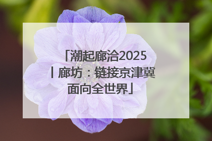 潮起廊洽2025丨廊坊：链接京津冀 面向全世界