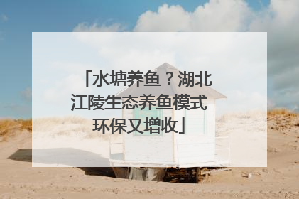 水塘养鱼？湖北江陵生态养鱼模式环保又增收