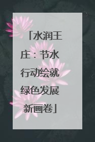 水润王庄：节水行动绘就绿色发展新画卷