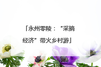 永州零陵：“采摘经济”带火乡村游