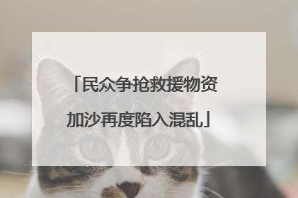 民众争抢救援物资 加沙再度陷入混乱
