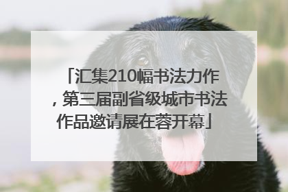 汇集210幅书法力作，第三届副省级城市书法作品邀请展在蓉开幕