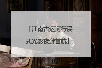 江南古运河行浸式光影夜游首航