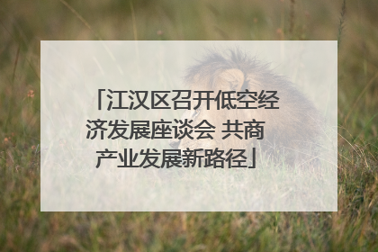 江汉区召开低空经济发展座谈会 共商产业发展新路径