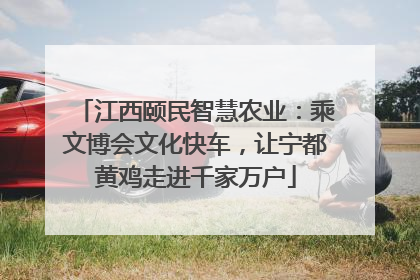 江西颐民智慧农业：乘文博会文化快车，让宁都黄鸡走进千家万户