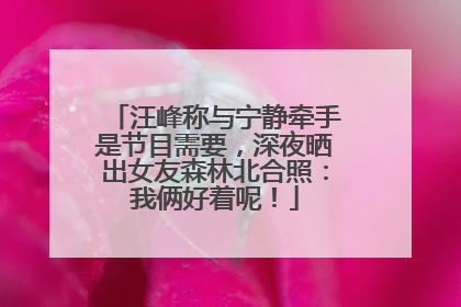 汪峰称与宁静牵手是节目需要，深夜晒出女友森林北合照：我俩好着呢！