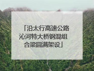 沿太行高速公路沁河特大桥钢混组合梁圆满架设