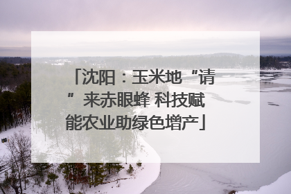 沈阳：玉米地“请”来赤眼蜂 科技赋能农业助绿色增产