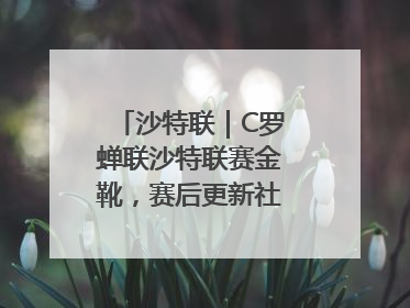 沙特联｜C罗蝉联沙特联赛金靴，赛后更新社媒暗示离队：这个章节结束了